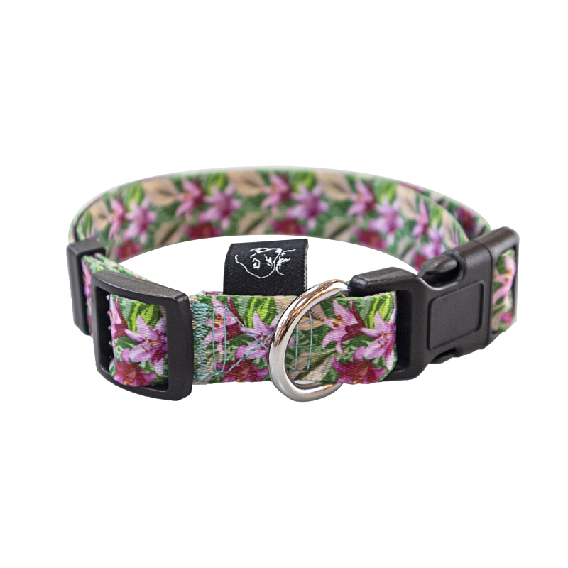 Dog and cat harness: Medium and large dog leashes