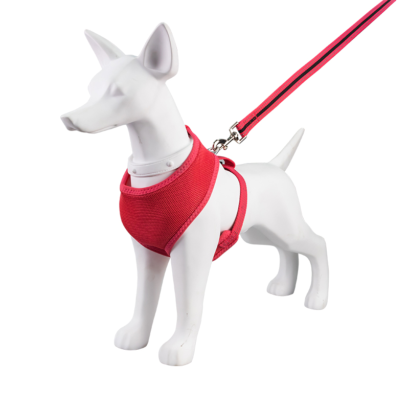 Dog chest and back+traction