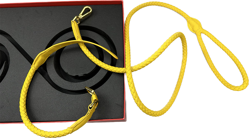 Luxury Dog Leash With Gift Box